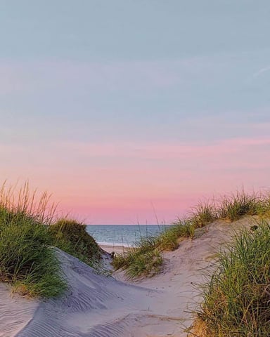 Sandy beach path with dune grass leading to ocean at sunset with pink sky