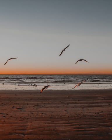 Port Aransas beach at sunrise