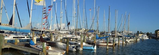 Harvest Moon Regatta
