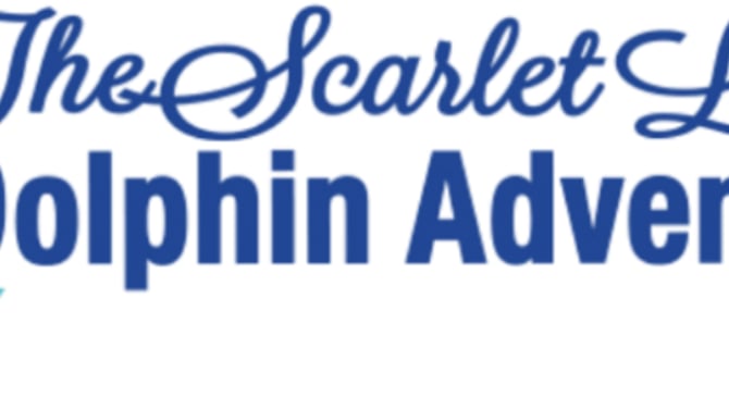 Scarlet Lady Dolphin