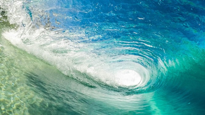 They Will Surf Again