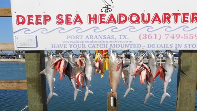 Captain Kelly’s Deep Sea Headquarters